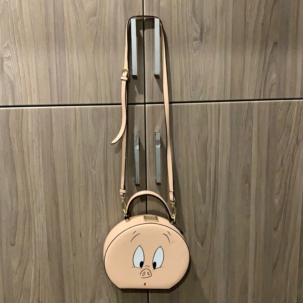 Zara purse